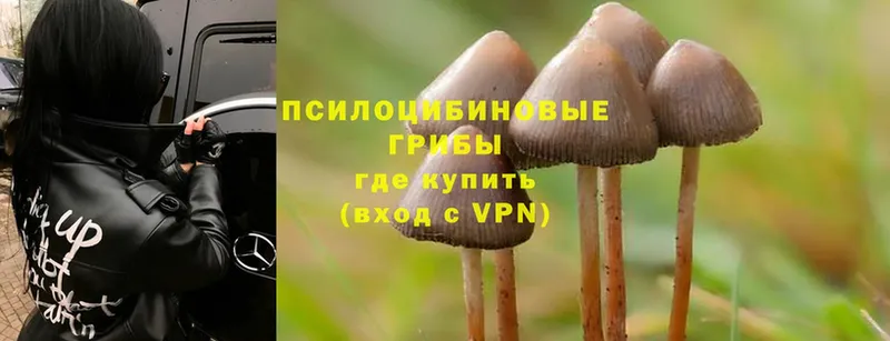 Галлюциногенные грибы Magic Shrooms  мега tor  Грязи 